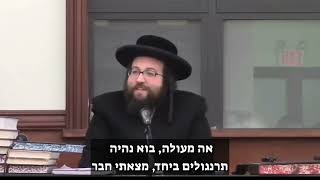 אני שבאבניק אני לא יכול ללמוד משניות | הרב יואל ראטה שליט"א (הרב יואל ראטה) - התמונה מוצגת ישירות מתוך אתר האינטרנט יוטיוב. זכויות היוצרים בתמונה שייכות ליוצרה. קישור קרדיט למקור התוכן נמצא בתוך דף הסרטון