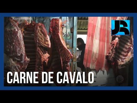 , title : 'Grupo criminoso vendia carne de cavalo para hamburguerias do Rio Grande do Sul'