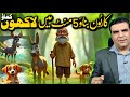 How To Make Cartoon Animation Videos Online Earning