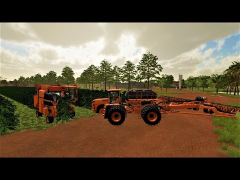 harvesting coffee beans at the new Recanto Da Alvorada Map | farming simulator 22 | mod tester 12
