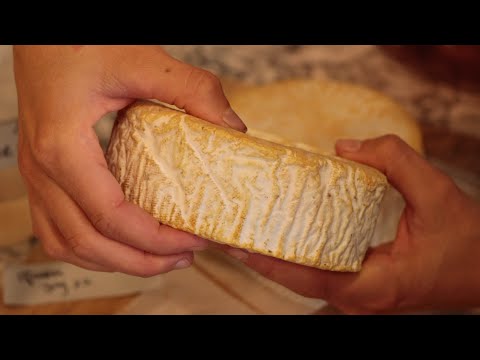 Affinage Cheese Talk with the Cheese Twins: Bleu, Camembert, Gouda, Dry Jack and Munster Cheese