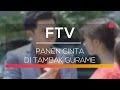 Download Lagu FTV SCTV - Panen Cinta di Tambak Gurame Mp3 Free