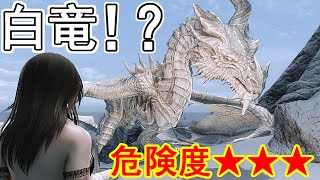 PC版 Skyrim SE】#25 森ガールは眠りたい [ ゆっくり実況 ] - تنزيل 