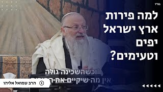 למה פירות ארץ ישראל יפים וטעימים? | הרב שמואל אליהו | הלכה יומית | י״ג שבט תשפ״ה (הרב שמואל אליהו) - התמונה מוצגת ישירות מתוך אתר האינטרנט יוטיוב. זכויות היוצרים בתמונה שייכות ליוצרה. קישור קרדיט למקור התוכן נמצא בתוך דף הסרטון