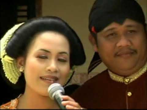 Pronocitro Loromendut