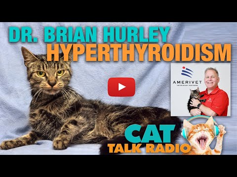 Cat Talk Radio -  Hyperthyroidism with Dr. Brian Hurley