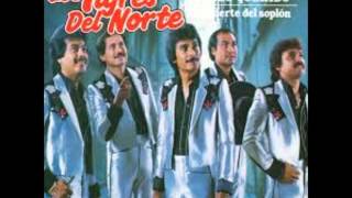 contrabando y robo- los tigres del norte- 1976