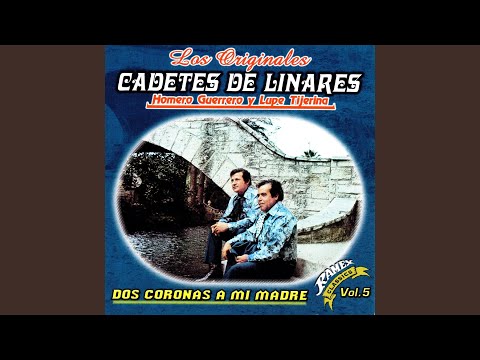 Miniatura de El retorno de chito cano