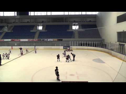 Tatabányai Polipok .Vasas HC torna 1