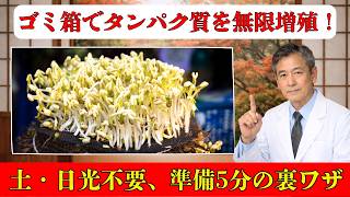 【シニア健康】5日で完成！乾燥豆が“生きた栄養食”に変わる驚きの方法｜発芽で栄養27倍の秘密