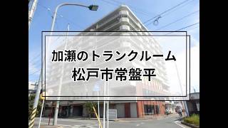 YouTube動画