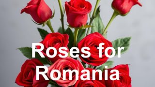 Roses for Romania