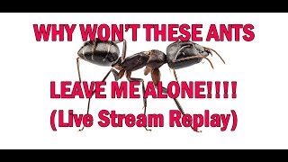 ANT CONTROL - LIVE STREAM REPLAY - WHY CANT I ELIMINATE ANTS?