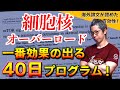 【筋トレ】海外で話題の「細胞核オーバーロード」のベストな取り入れ方を解説。 効果はステロイド並み!?
