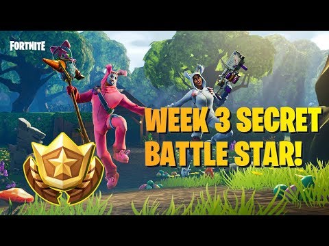 *NEW* SEASON 5 WEEK 3 SECRET BATTLE STAR LOCATION!