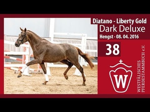 38 Longiervideo Dark Deluxe (Hengst v. Diatano  - Liberty Gold)