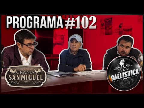 PROGRAMA 102