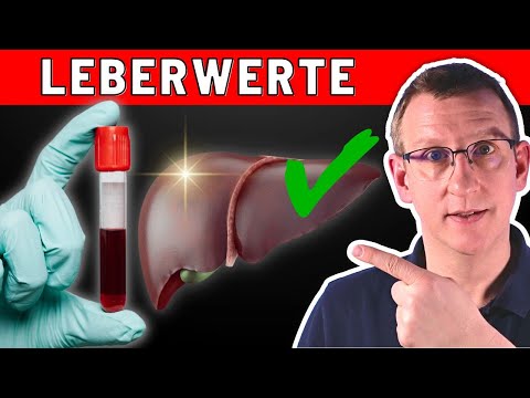 Erhöhte Leberwerte - was kann ich tun?