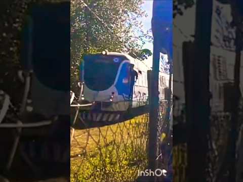 Tren de las Sierras pasando por Huerta Grande, Córdoba 🇦🇷#trendelassierras