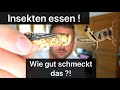 Insekten essen: Heuschrecken,Mehlwürmer etc. Wie schmeckt das ?!