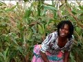 Xi Big Xa Sasekisa Yi Ya Dya Mavele Official Video