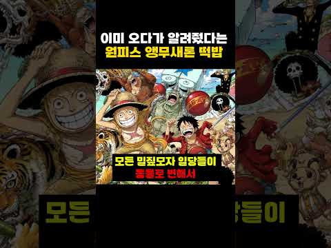 이미 오다가 알려줬다는 원피스 앵무새론 떡밥