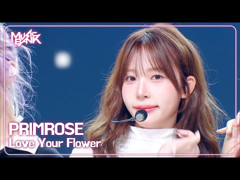 PRIMROSE プリムローズ 프림로즈 - Love Your Flower [Music Bank] | KBS WORLD TV 250919