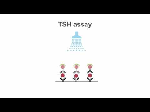 Mastering TSH assays