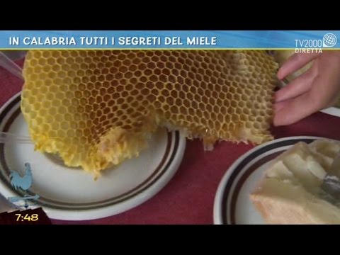 Articolazioni delle gambe doloranti koleni.lechenie. Intorpidimento della colonna cervicale da fare