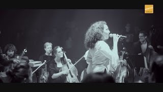 Tuttisolo Orchestra at "Gewandhaus Audio Invasion" - Paul Kalkbrenner, Asaf Avidan & Caribou COVER