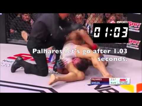 Did Palhares Hold the Submission too Long?