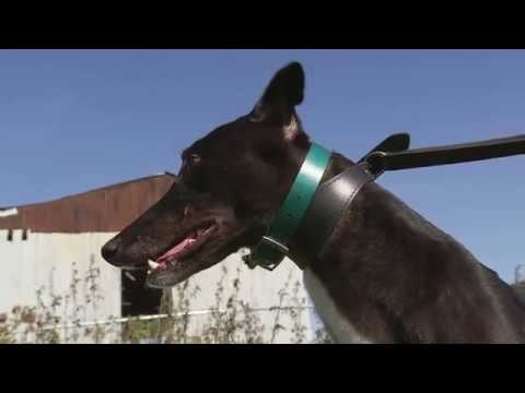 JOHN LAMBE - THE 2018 RPGTV EAST ANGLIAN DERBY