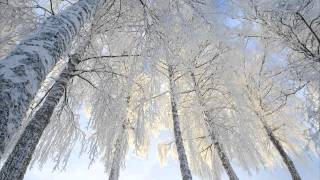 Summoning - Like Some Snow White Marble Eyes (Lyrics)