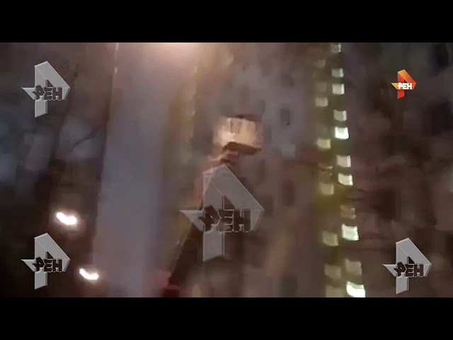 Чтобы помириться с женой, мужчина залез на дерево