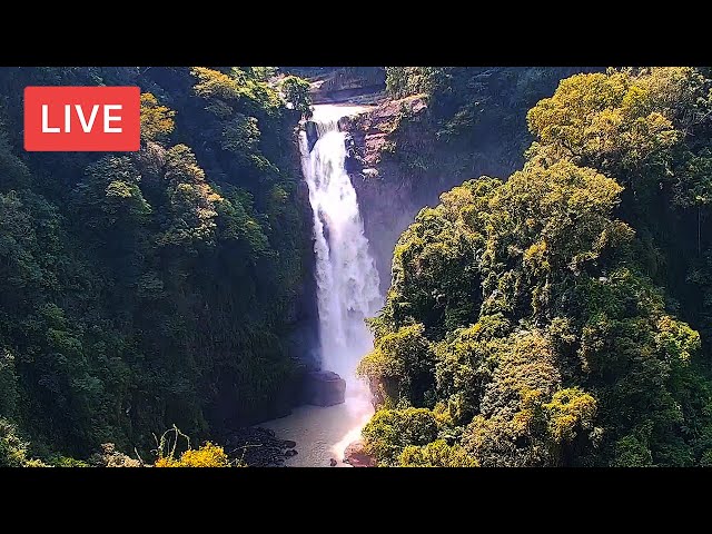 Xiao Wulai Panoramic Lookout Live Cam
