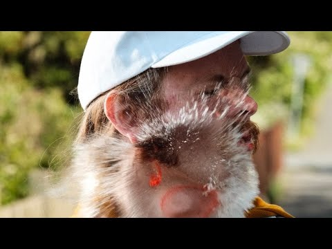 THE VINTAGE CARAVAN - Riot