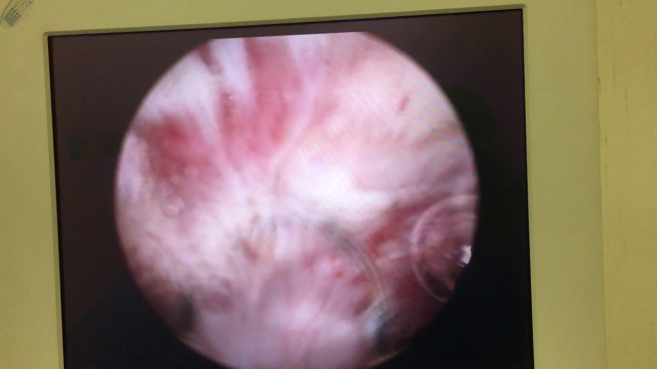 Rauf Taner Divrik-45