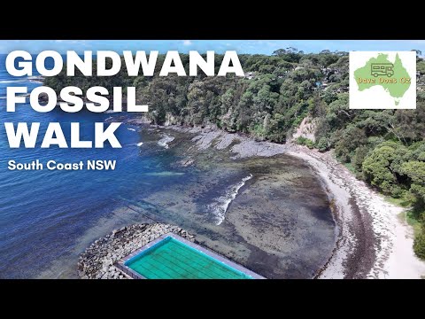 Gondwana Fossil Walk - Ulladulla - New Motorhome - Avida Birdsville - Solo Traveller