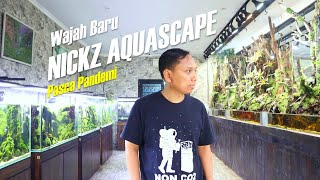 Re-Visit Nickz Aquascape - Galeri Aquatic Hobbies - 2022 | Makin Lengkap, Nyaman & Mudah