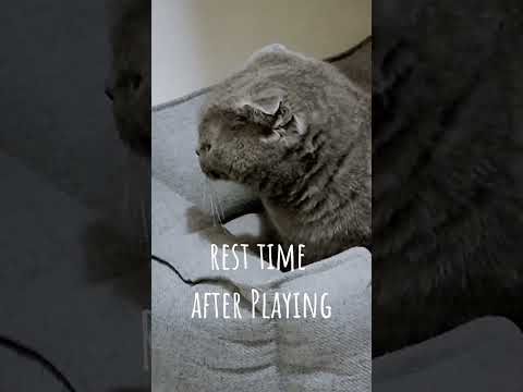 first day at boarding