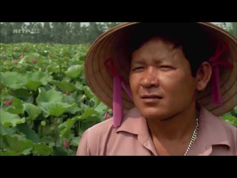Vietnam   Im Zeichen des Lotus   Doku 2016 NEU in HD 720p 30fps H264 192kbit AAC