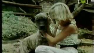 Olivia Newton-John - Jolene (1978)