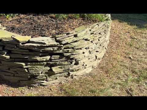 Yellow Jackets Nesting in the Rock Wall in Wall Township, NJ