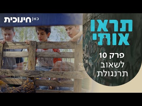 תראו אותי 👀 | פרק 10 - לשאוב תרנגולת