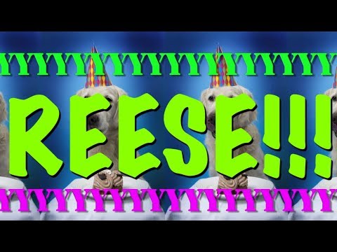HAPPY BIRTHDAY REESE! - EPIC Happy Birthday Song