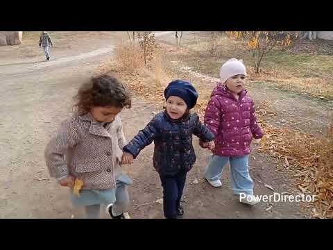 Այցելեցինք Տիգրան Հայրապետյան գրադարան