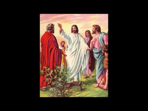 Predica pr. Eduard Patraşcu din Duminica a XVII-a din timpul de peste an (27 iulie 2014)