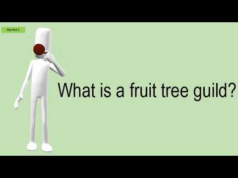 What Is A Fruit Tree Guild?