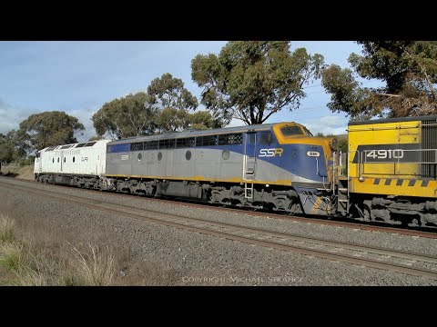 7775V SSR Light Engine Movement CLP12, 4910, S311 & CLF3  (5/8/2021) - PoathTV Australian Railways