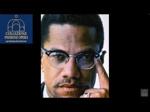 A.DAVIS - X: THE LIFE AND TIMES OF MALCOLM X* Holt, Young, Baskerville,  Simpson NEW YORK 28.09.1986